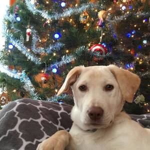 Meet your Posher, Nicola